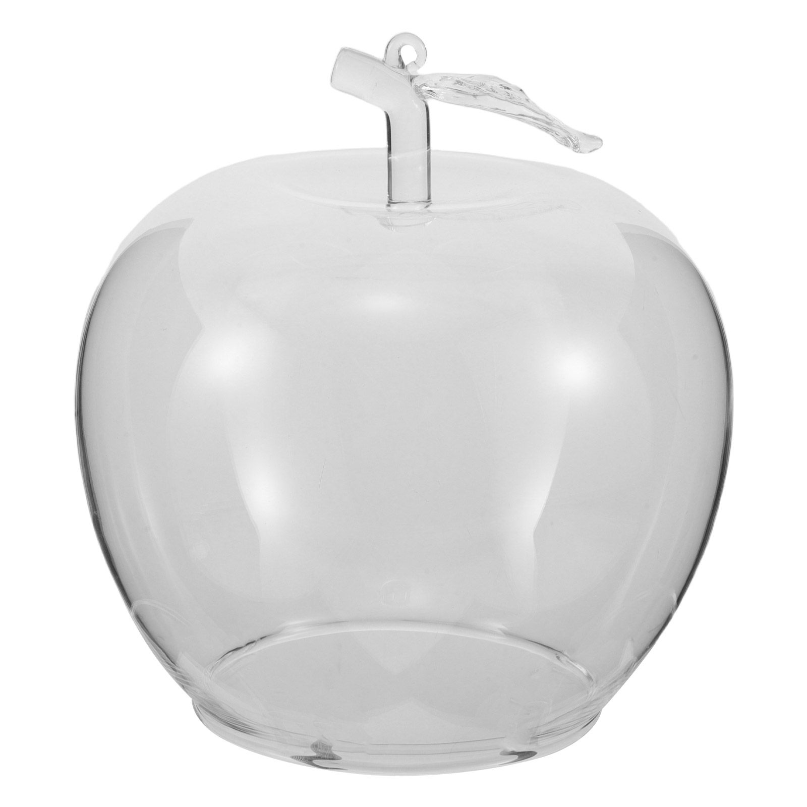 Home Decor Handmade - Cúpula de Cristal Transparente con Temática