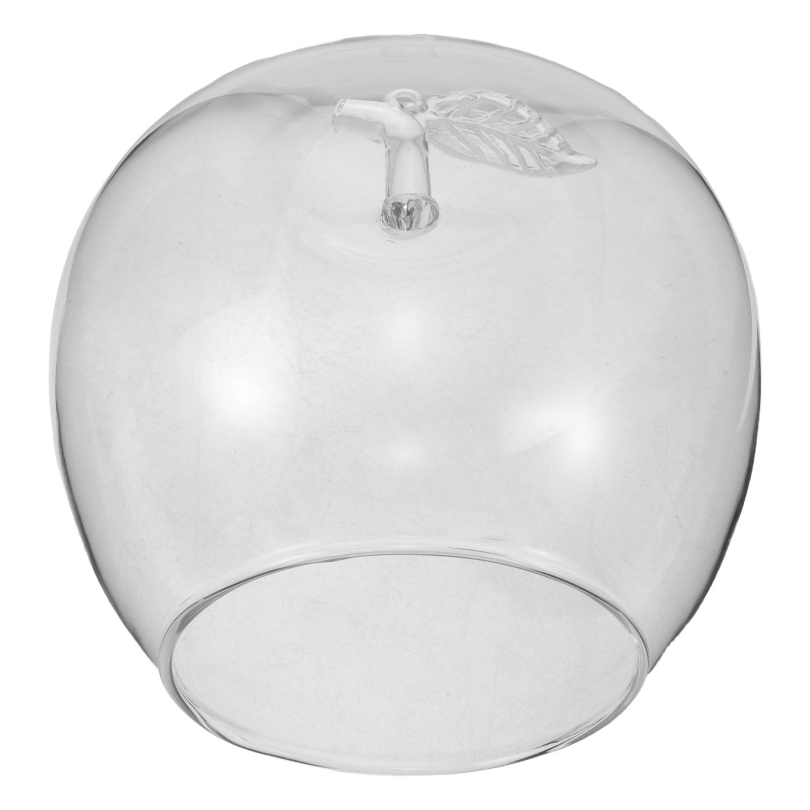 Cúpula de Cristal Transparente - Home Decor Handmade reseña y precio